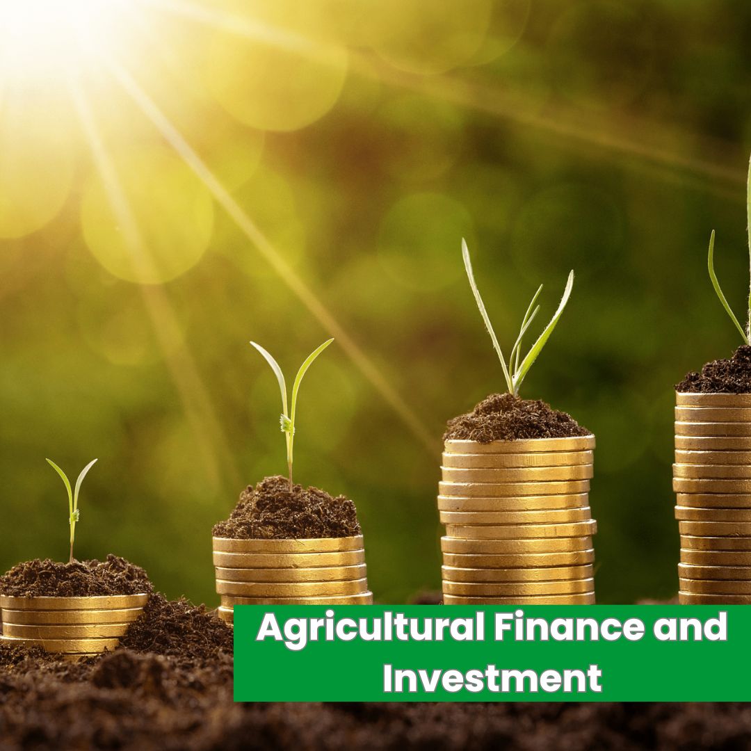 Agricultural Finance and Investment