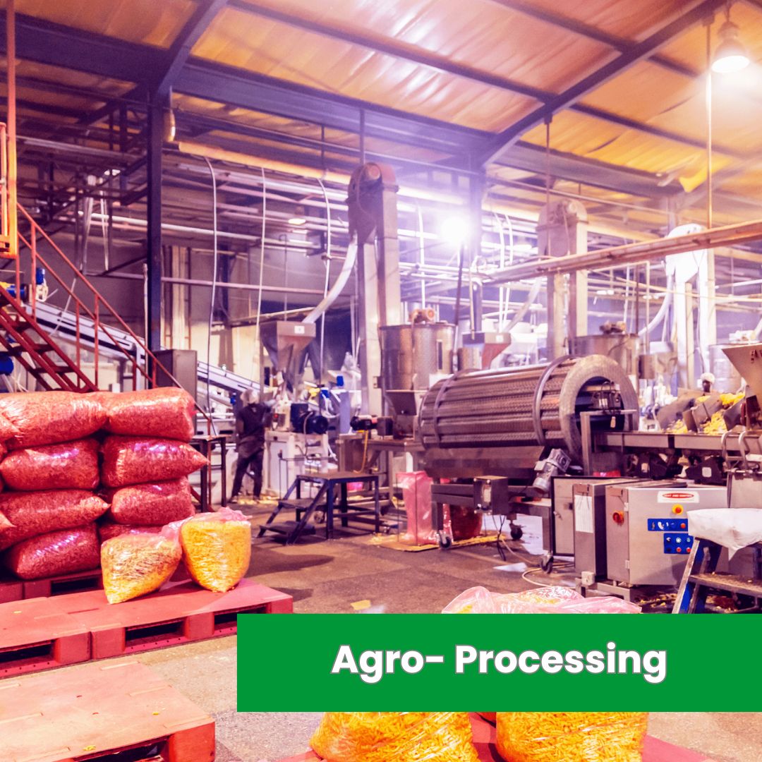 Agro- Processing (1)